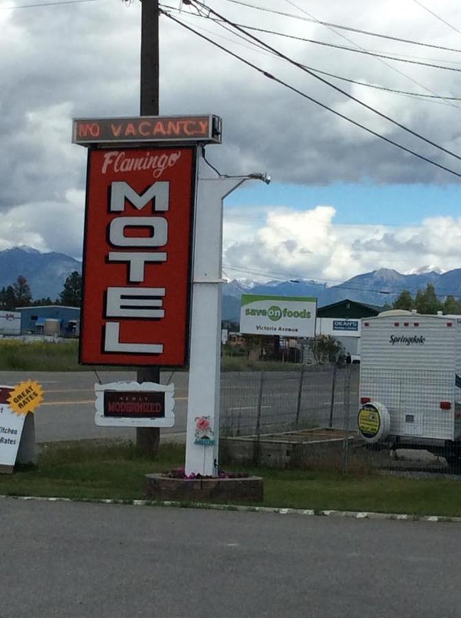 Flamingo Motel Cranbrook Kültér fotó
